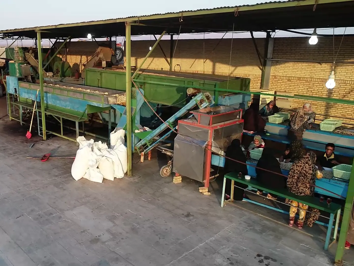 Workers sitting along a sorting belt under a roofed shed