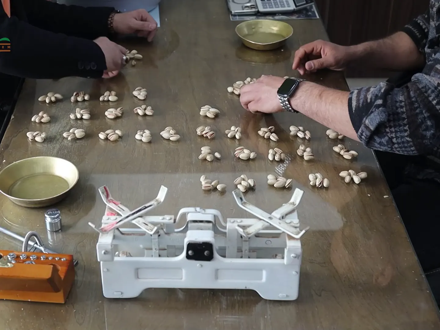 Two people counting pistachios on a table next to a scale